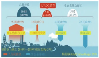 碳汇技术：绿色生态的新型增长点