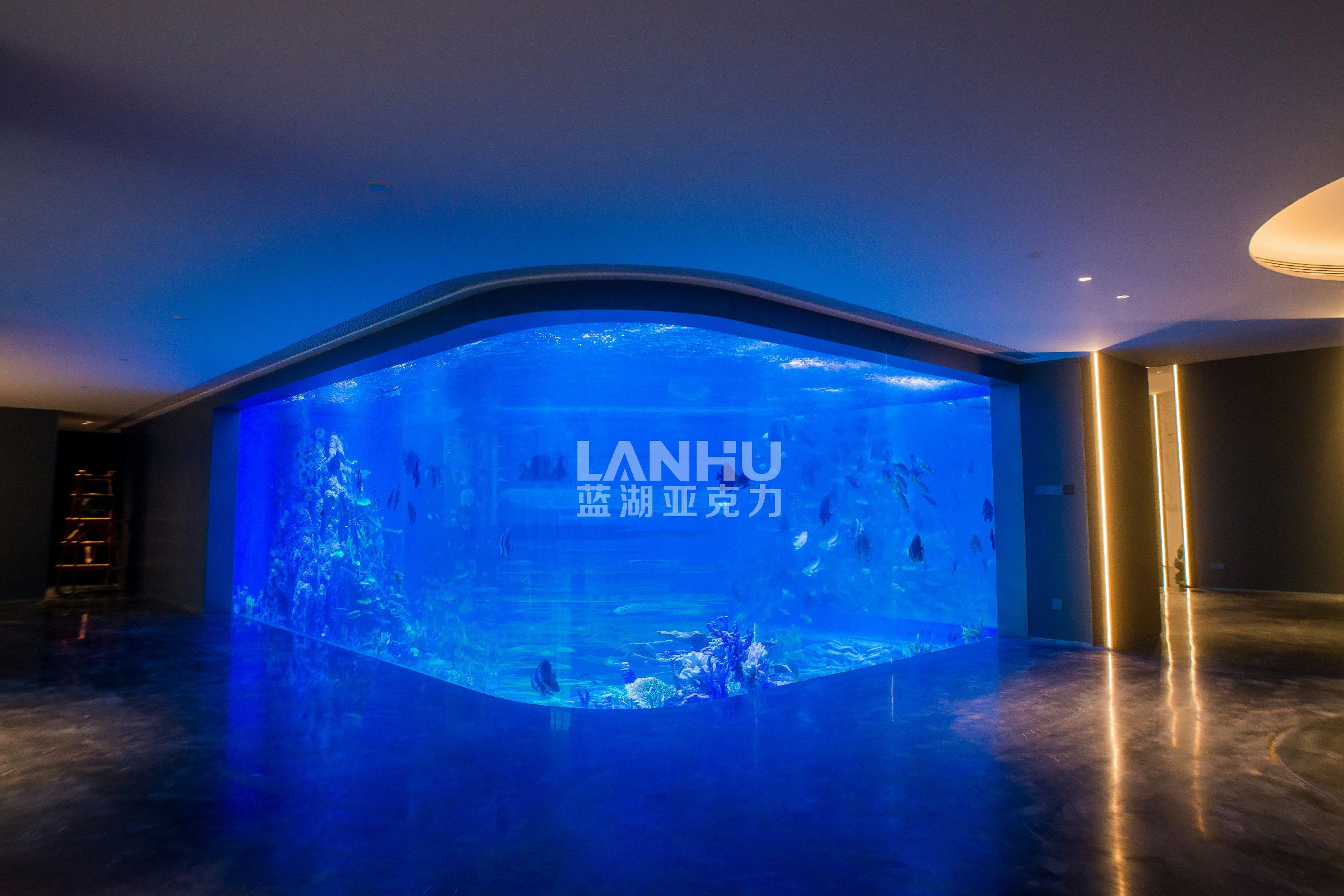 海水鱼缸珊瑚造景图_壁挂鱼缸造景图片_鱼缸造景草原效果
