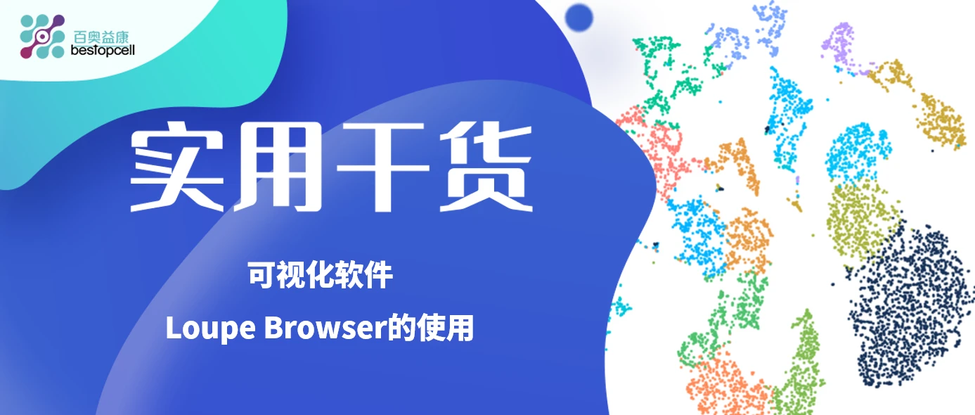 实用干货 可视化软件 Loupe Browser 的使用 哔哩哔哩