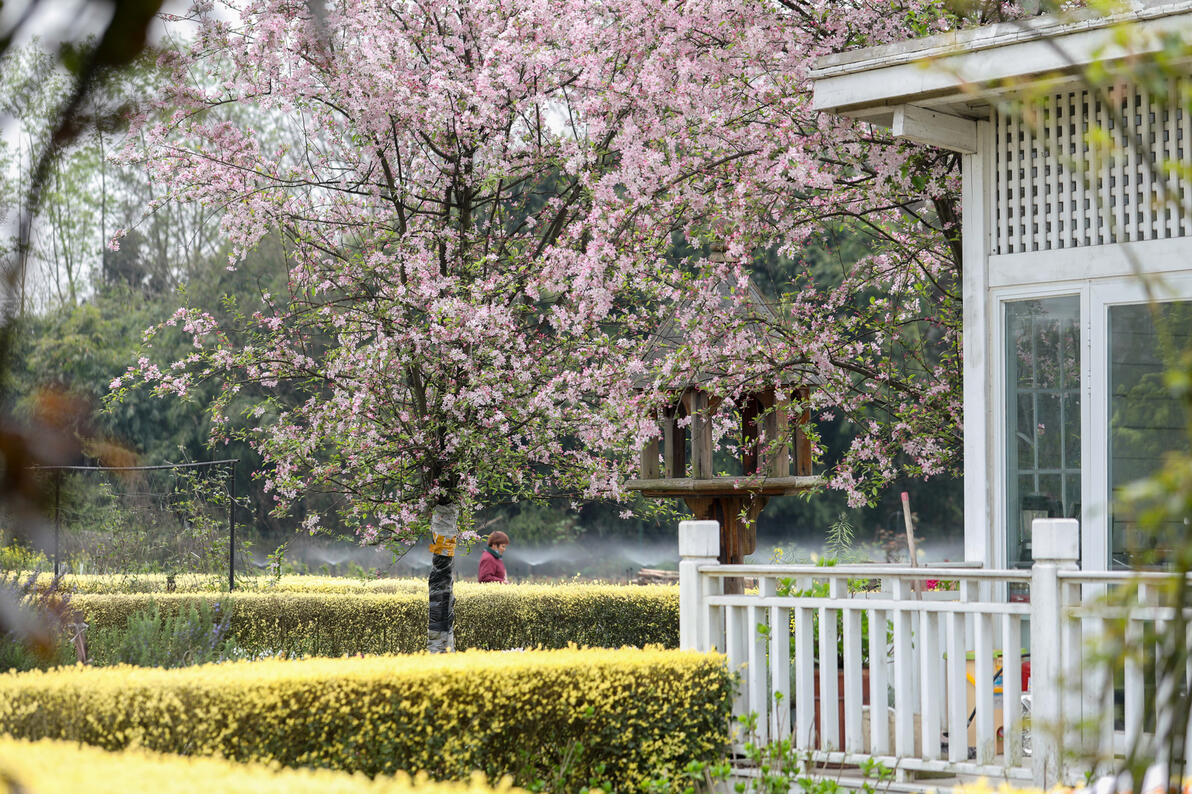 招聘信息发布_招聘信息发布文案_招聘信息