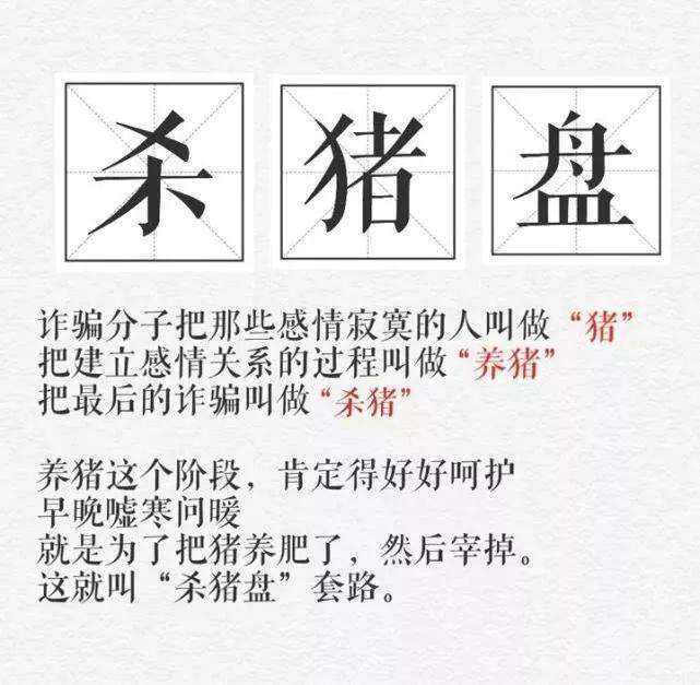 30a33ff69179bc1c70bd8f76d83c4d4d72212d45.jpg