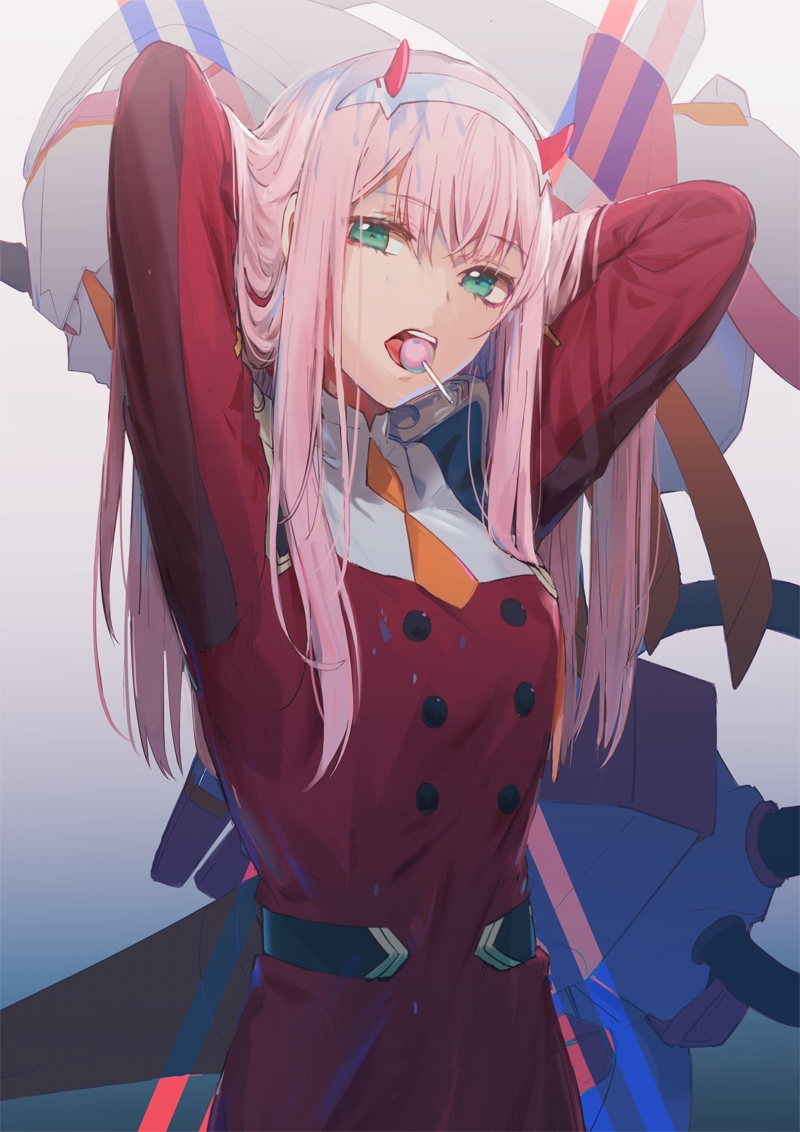 p站pixiv美图搬运(14)【02/zero two】——陌路velocity