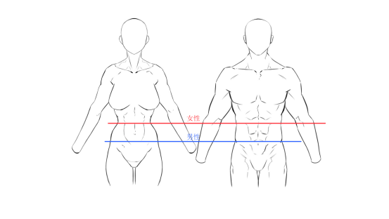 腰部及大腿的线条