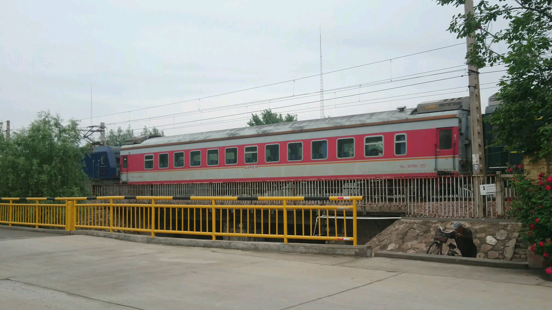 k7725 次列车和了望塔下蔷薇花