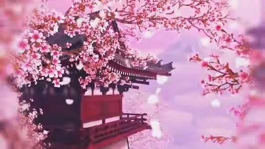 桃红梨白吾尽爱 只叹去年赏花人 独留一人赏桃梨 哔哩哔哩