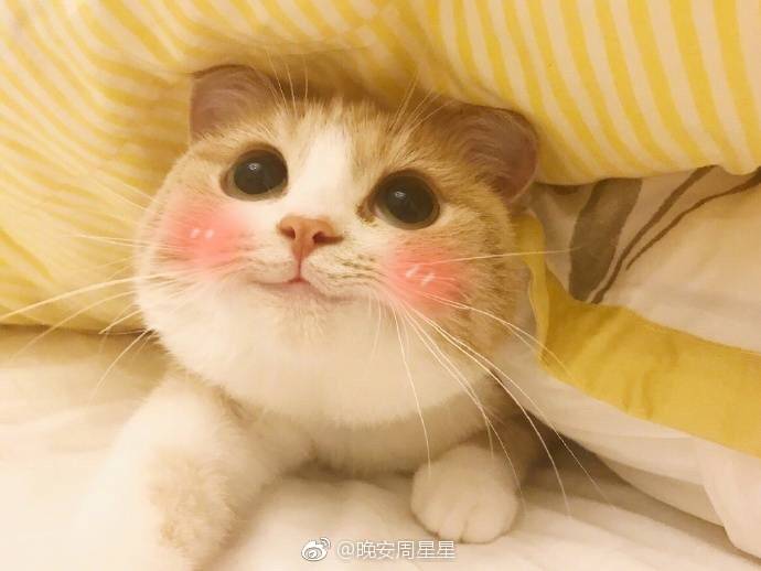 在一起是两个人的事