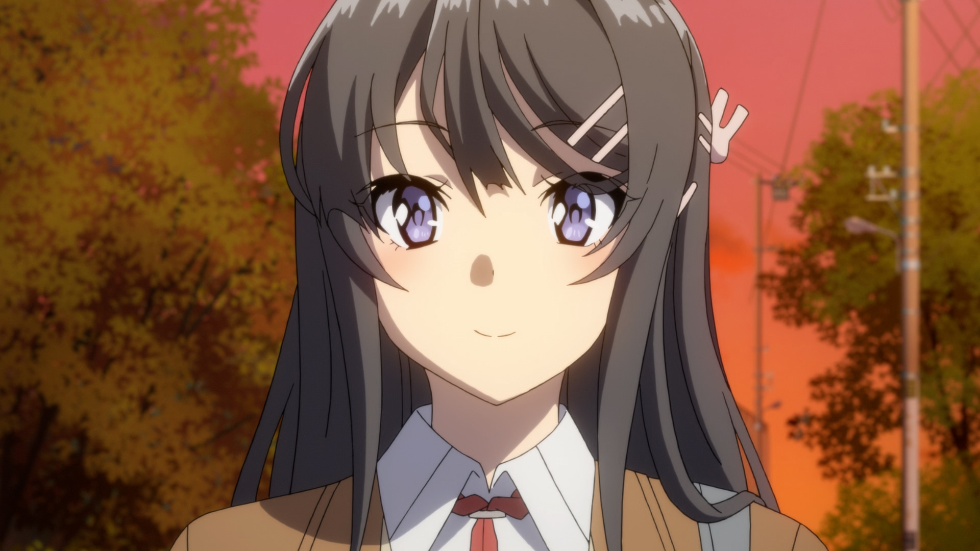 《青春猪头少年不会梦见兔女郎学姐》