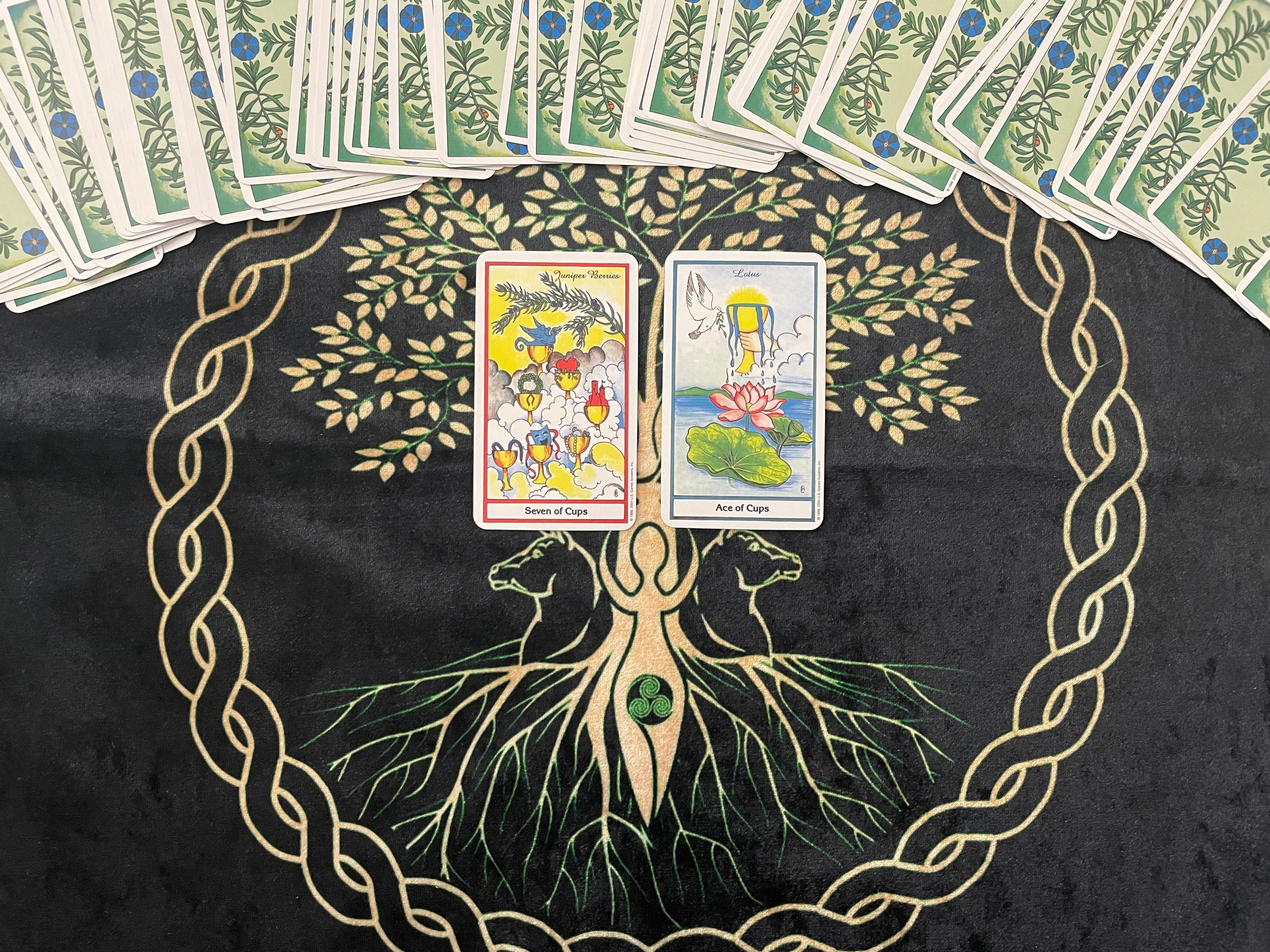 花梦塔罗:双子座11月运势,业力深放不下,还能再续前缘