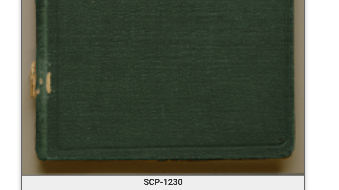 Acp1230一个英雄的诞生 转自scp基金会官网 哔哩哔哩专栏