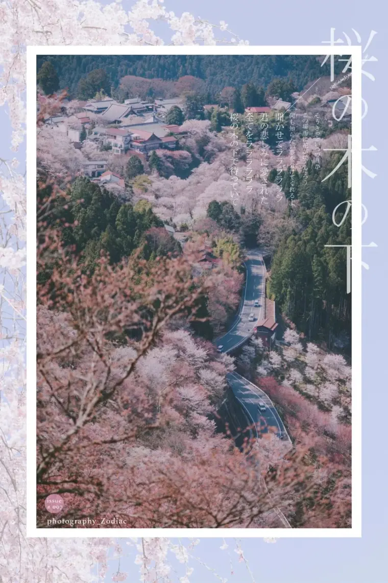 樱の沁魂 赏樱不识吉野山 看遍樱花也枉然 哔哩哔哩