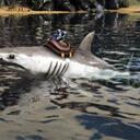 方舟生存进化模组生物介绍——宽齿鲭鲨(Broadtooth Mako Shark)