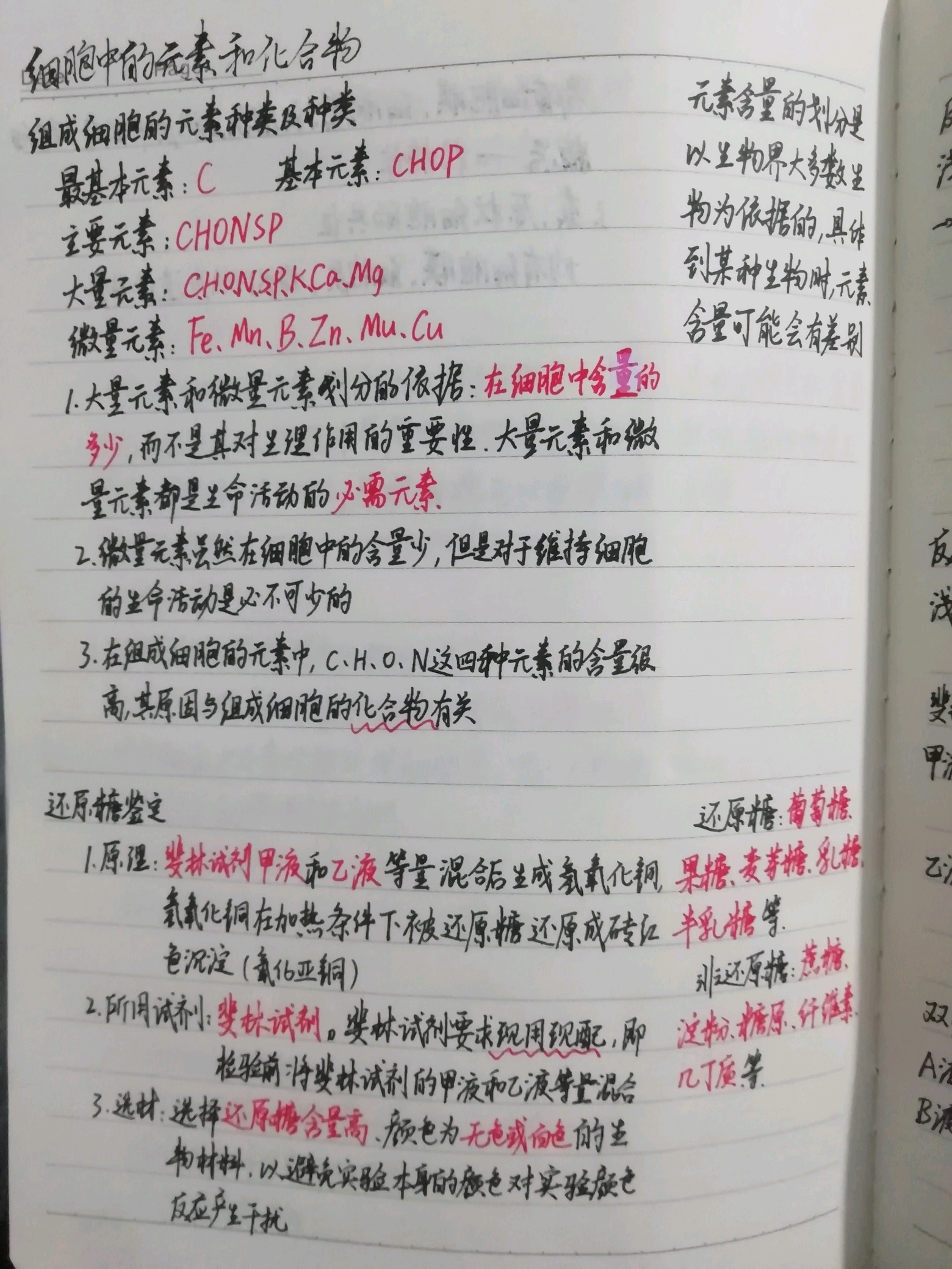 期中 手写笔记 高中生物必修一 《细胞中的无机物》