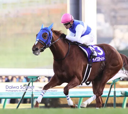 ウム娘相关 大和赤骥 ダイワスカーレット 竞马实况视频整理 哔哩哔哩