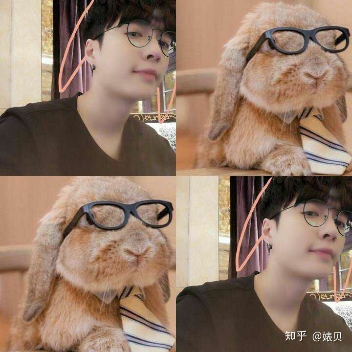 论喜欢张艺兴