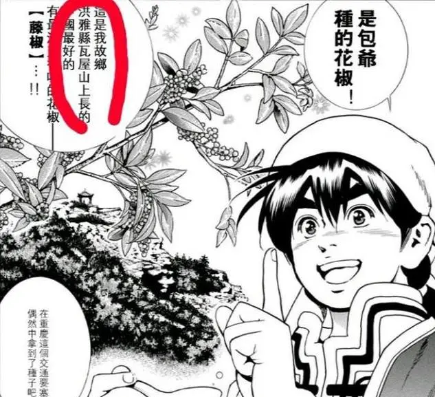 中华小当家刘昂星的家乡 他生活在四川这个城市 哔哩哔哩