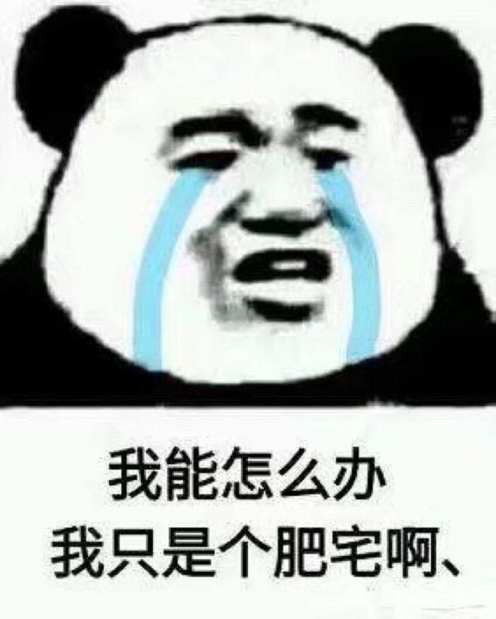算了,毕业要紧.