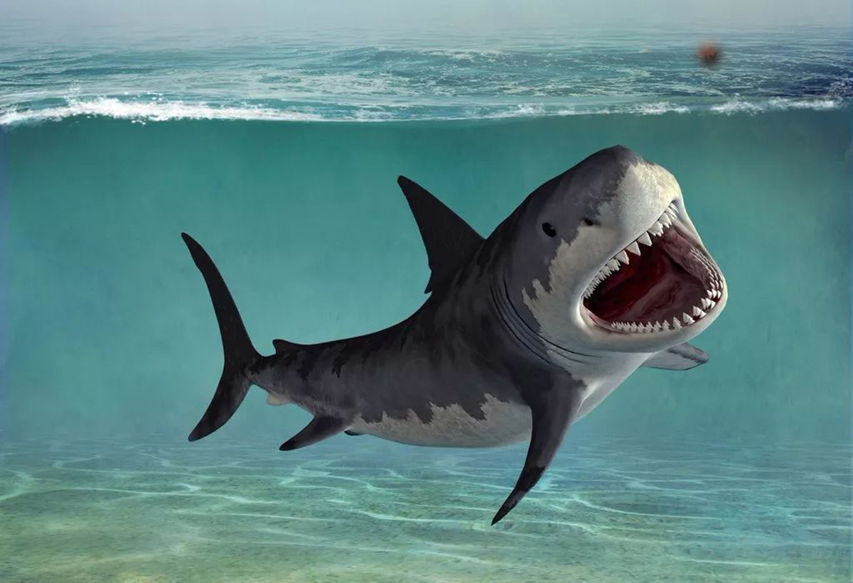 [Exclusive] Image Gallery Previews the Wacky '6-Headed Shark Attack ...