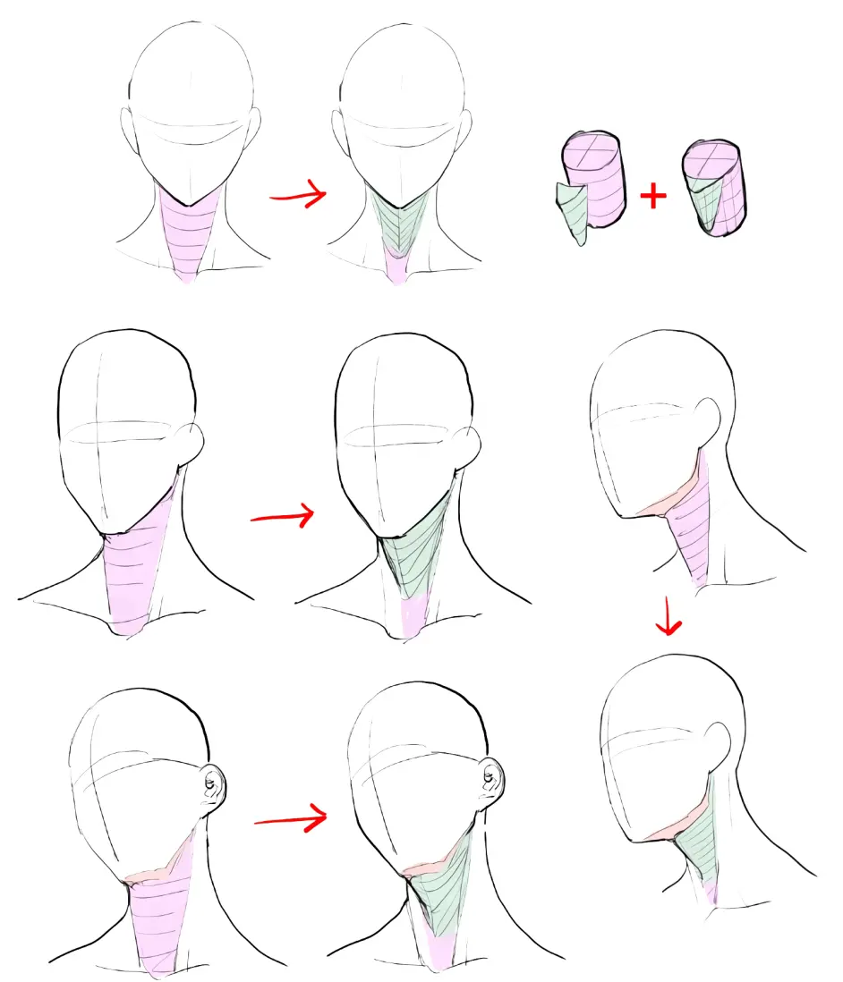 简单易懂的头像结构教程素材,学完让你轻松画好头像结构!