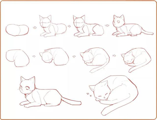 Фото Котят Поэтапно