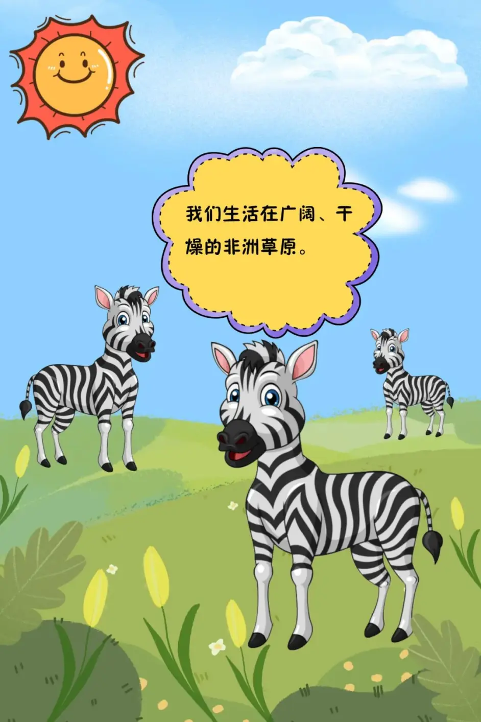兰野小课堂丨斑马 哔哩哔哩
