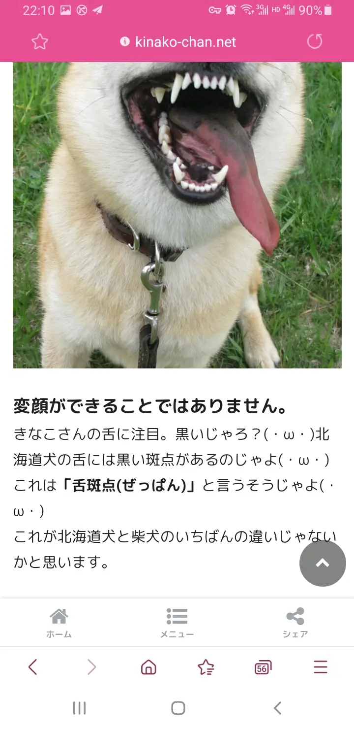 龙到底是什么狗 哔哩哔哩 龙到底是什么狗 哔哩哔哩