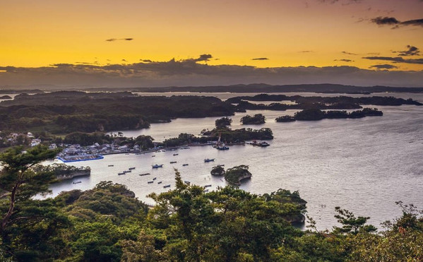 替身使者最想上的大学因为可以游遍杜王町甚至能见到鲁迅先生