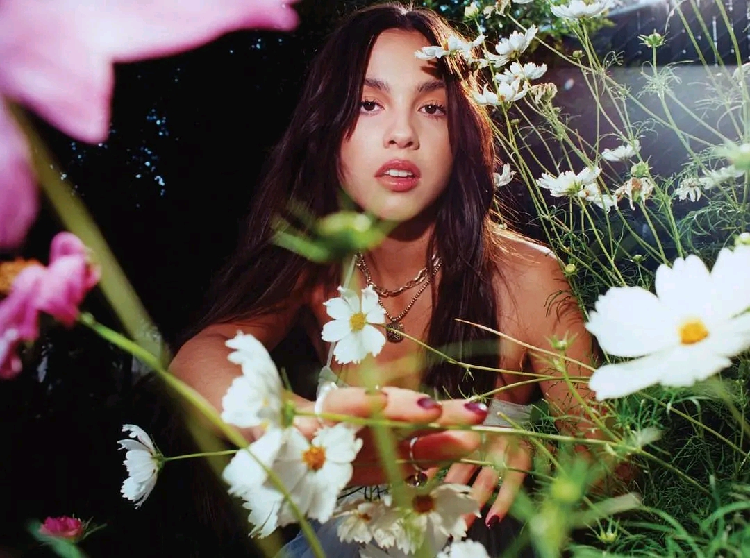 [乐评]Olivia Rodrigo《SOUR》Pitchfork 7.0 哔哩哔哩