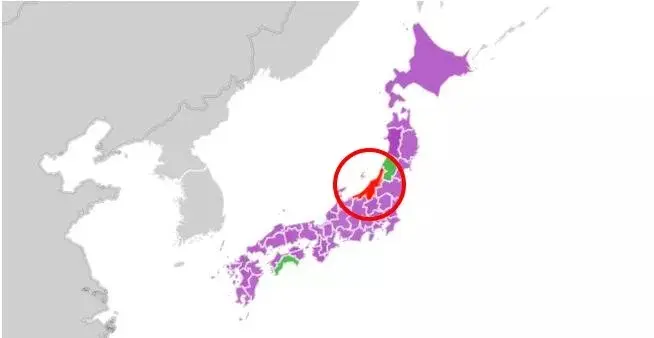 Ngt48 山口真帆事件 调查报告出炉 解释难以服众 运营须多沟通 哔哩哔哩