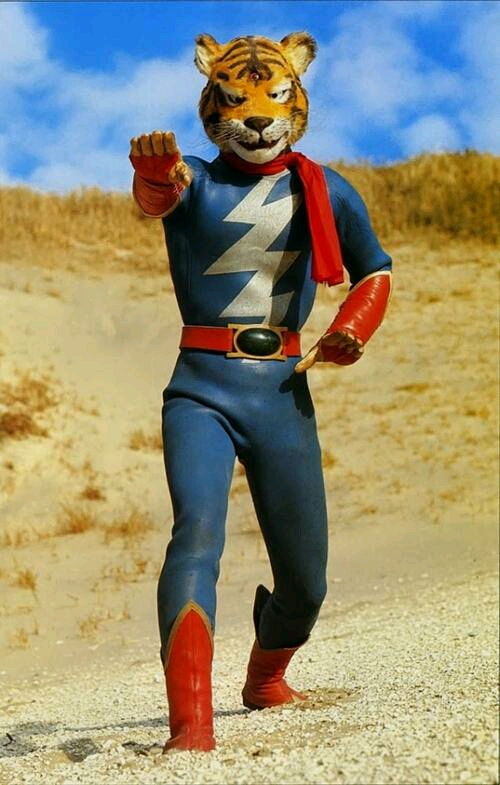 孤独的英雄——铁人老虎7大百科