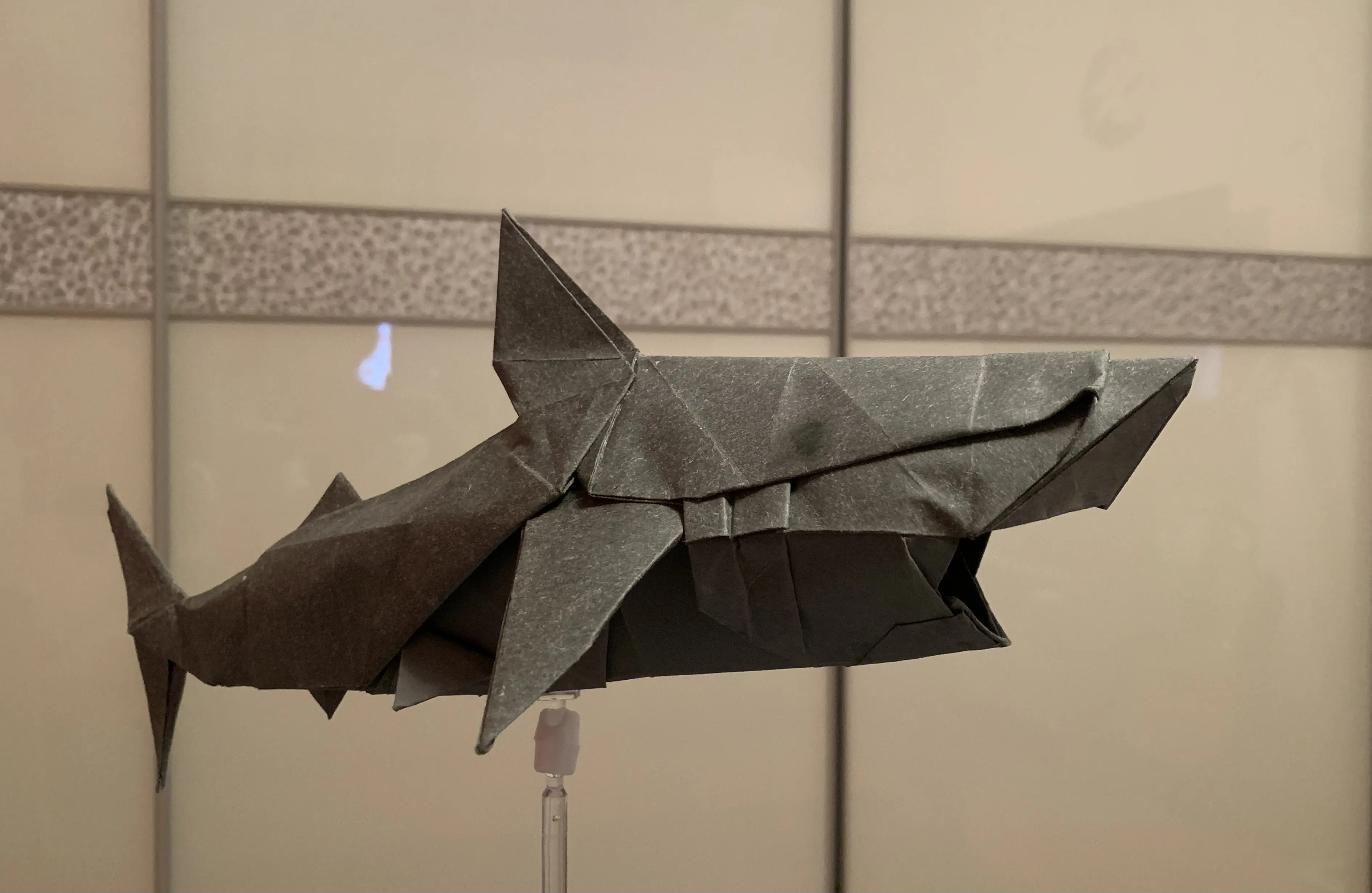 【折纸】神谷鲨鱼