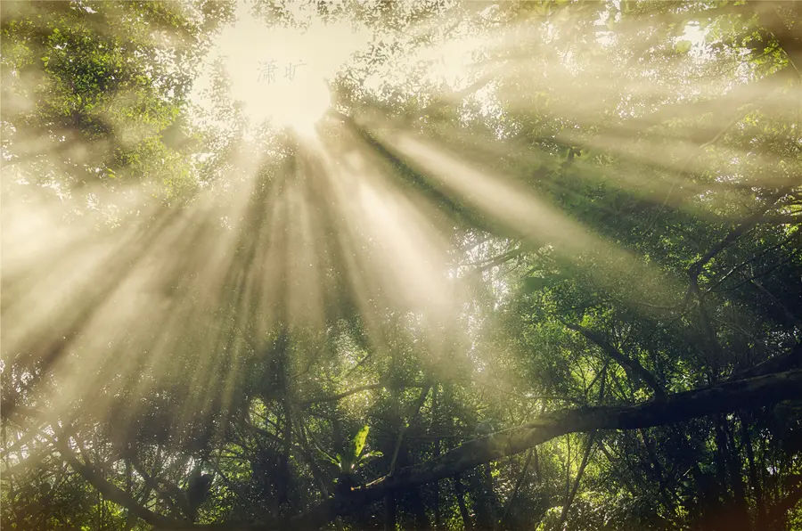 易cg 绘画中最常用的光影 哔哩哔哩