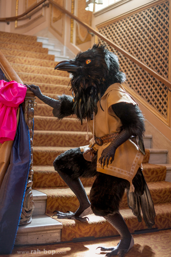 《鸟系》图集(二)