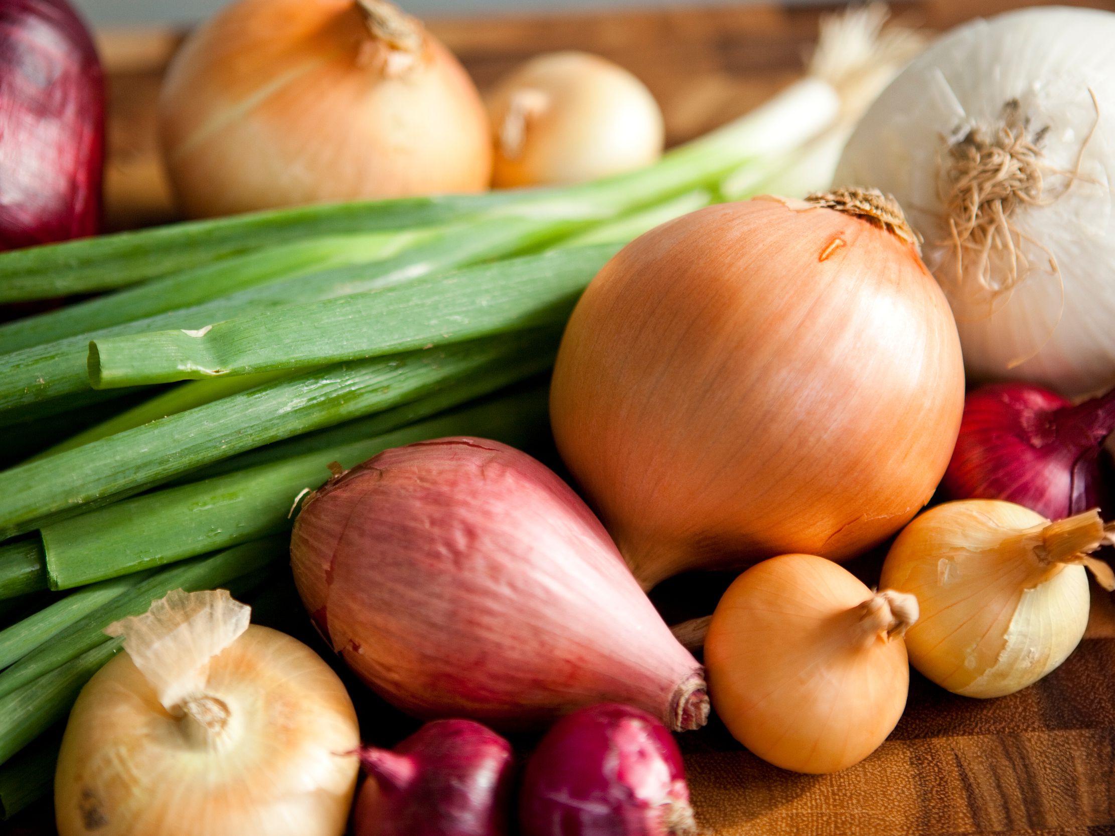 洋葱居然还有怎么多种类看看哪种你没见过