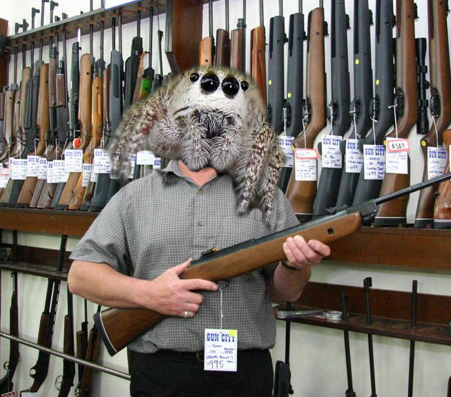 Clef博士的人事档案