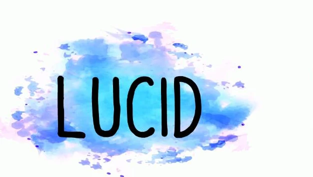 【PC/SLG/汉化】清醒 Lucid V0.4 汉化版【567M】-马克游戏
