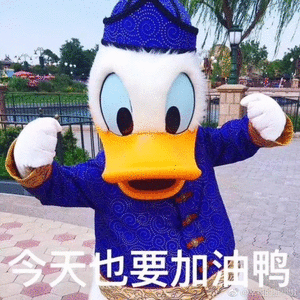 王心凌之后谁是下一个全网热点?错过今天可能会错过一整个青春