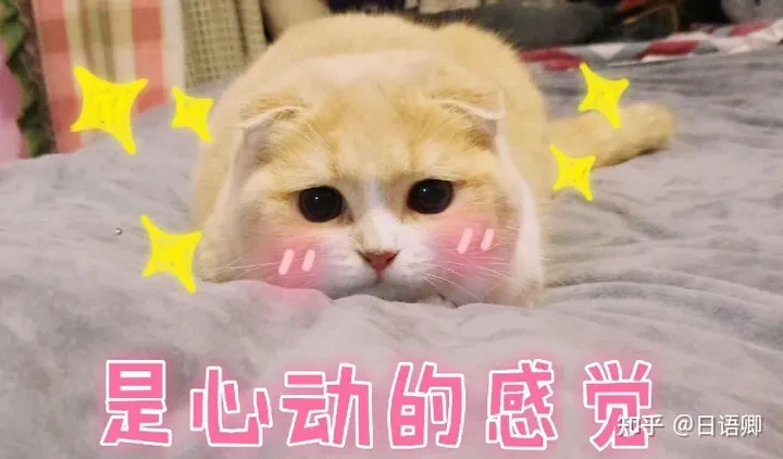 どうやら、なんだか、なんとなく这三个词有什么区别？ 哔哩哔哩