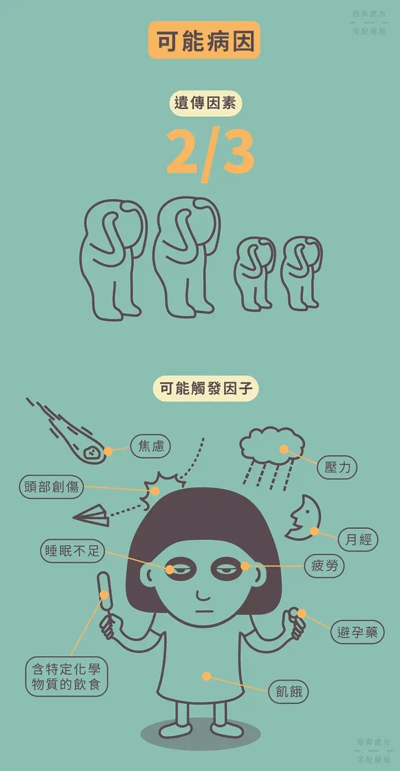 今日更新 我的医学知识小笔记 偏头痛 哔哩哔哩