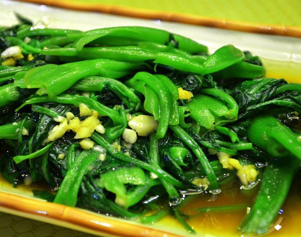 芝城e分钟第三弹吉阳四宝