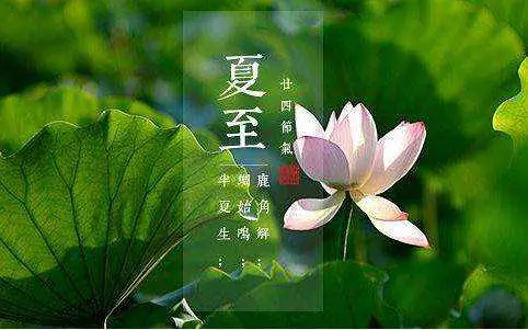 护阳气 调精神 夏至节气养生 哔哩哔哩