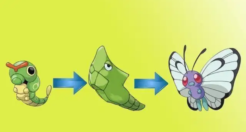 精灵宝可梦:宝可梦会不会退化,动画中有没有关于退化的设定呢?-学习经