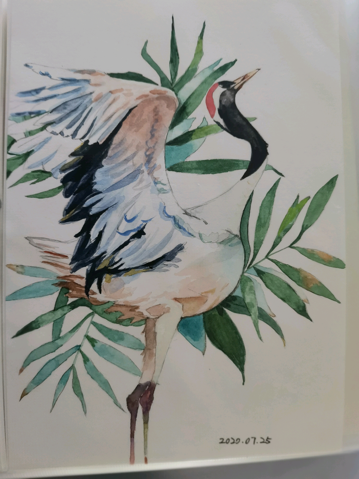 水彩自学记录(上图)