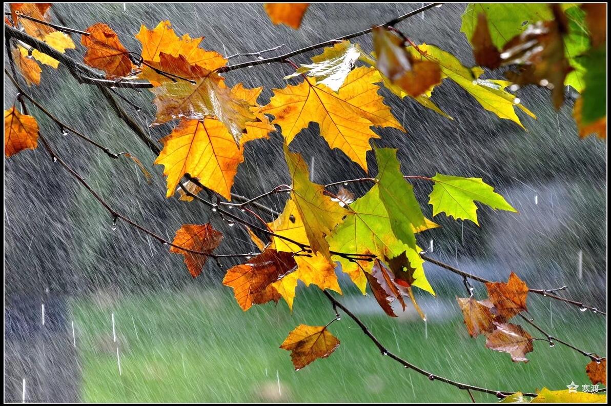 秋雨有感---古诗二首 - 哔哩哔哩