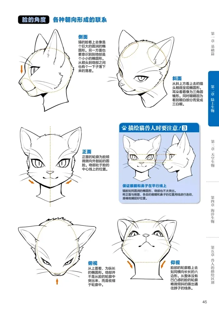 兽人的画法 中文版 上篇 哔哩哔哩