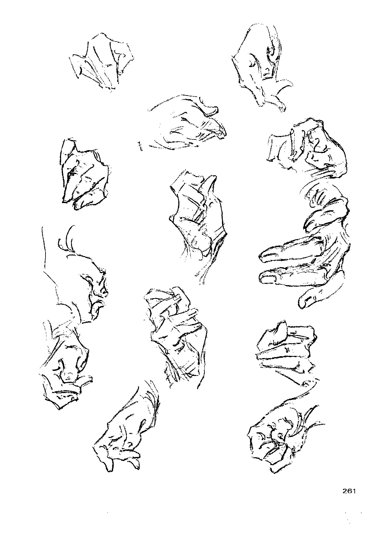 来跟仙儿菲一起研究"伯里曼"