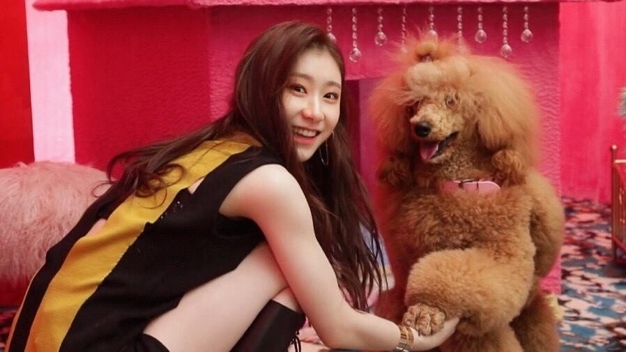 itzy李彩玲因外貌屡遭黒评,其母无奈在naver留言请网友别伤害!