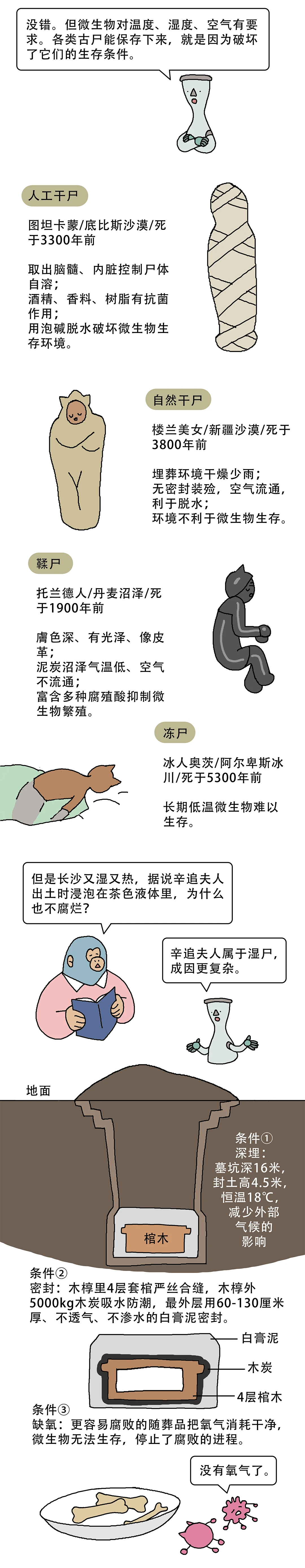尸体千年不腐古人用了什么黑科技2