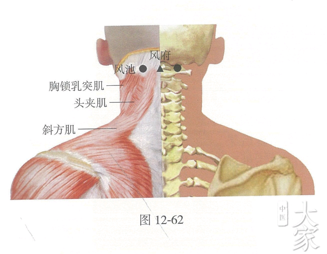 按摩3个穴位肩颈变柔软！中医教你挥别肩颈痛 | 肩颈酸痛 | 穴位按摩 | 风池穴 | 大纪元
