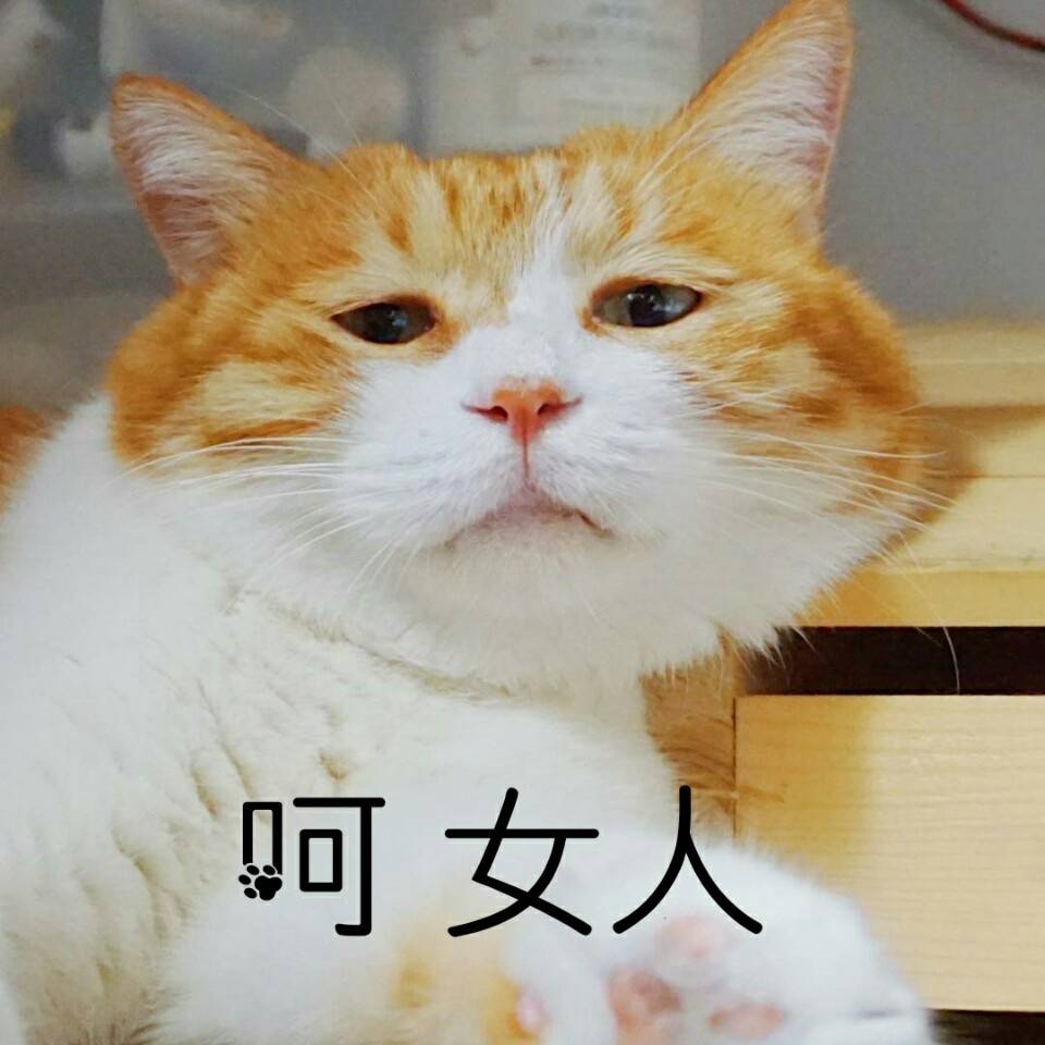 【之酱】情人节连纸片人都给你戴绿帽的话.