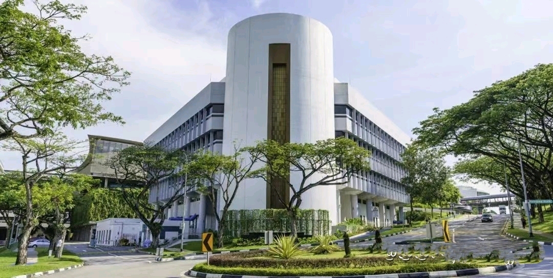 新加坡理工学院入学条件